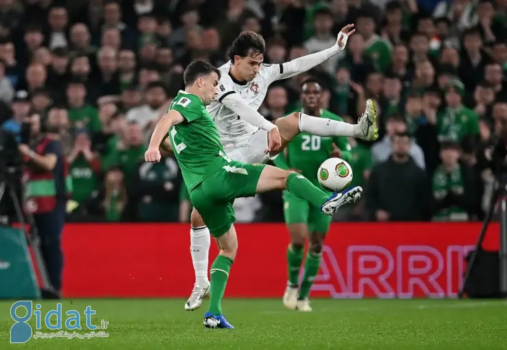 photo_2025-11-16_22-40-27 (2)